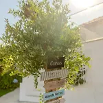 Quinta Baiao, Douro Valley 农家乐 *