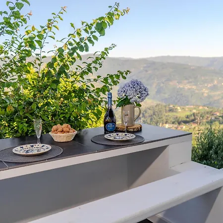 Paradise Farm With Pool And Jacuzzi In Douro Κατάλυμα σε φάρμα Santa Cruz do Douro