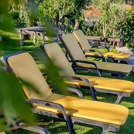 Paradise Farm With Pool And Jacuzzi In Douro Κατάλυμα σε φάρμα Santa Cruz do Douro