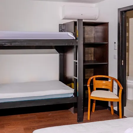 Paradise Farm With Pool And Jacuzzi In Douro Κατάλυμα σε φάρμα *