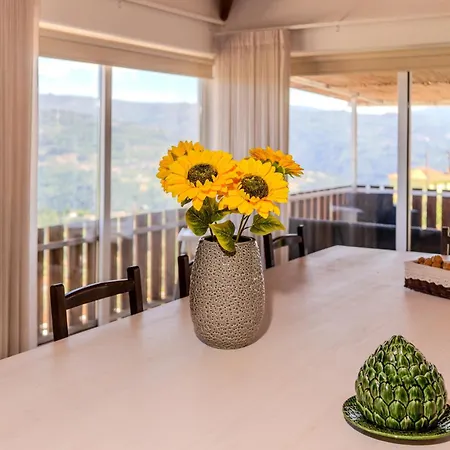 Paradise Farm With Pool And Jacuzzi In Douro