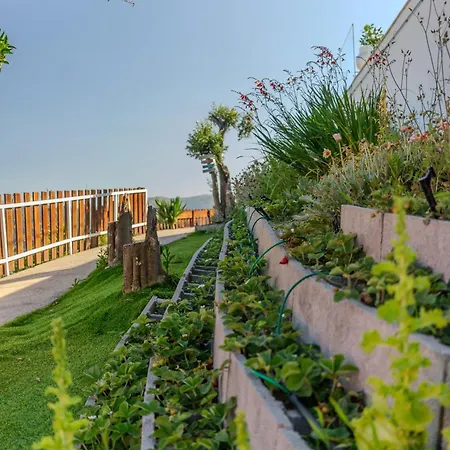 Paradise Farm With Pool And Jacuzzi In Douro *