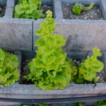 Κατάλυμα σε φάρμα Paradise Farm With Pool And Jacuzzi In Douro