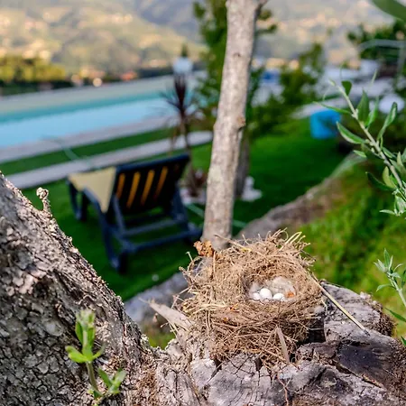 Paradise Farm With Pool And Jacuzzi In Douro Santa Cruz do Douro