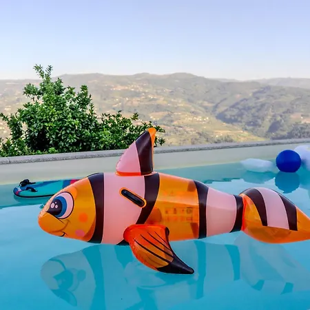 Paradise Farm With Pool And Jacuzzi In Douro