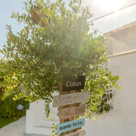 Quinta Baiao, Douro Valley 팜스테이 *