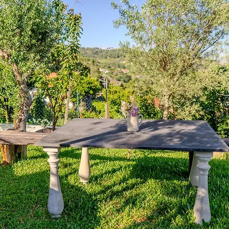 팜스테이 Quinta Baiao, Douro Valley