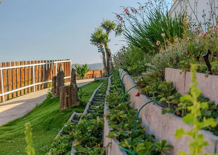 Quinta Baiao, Douro Valley *