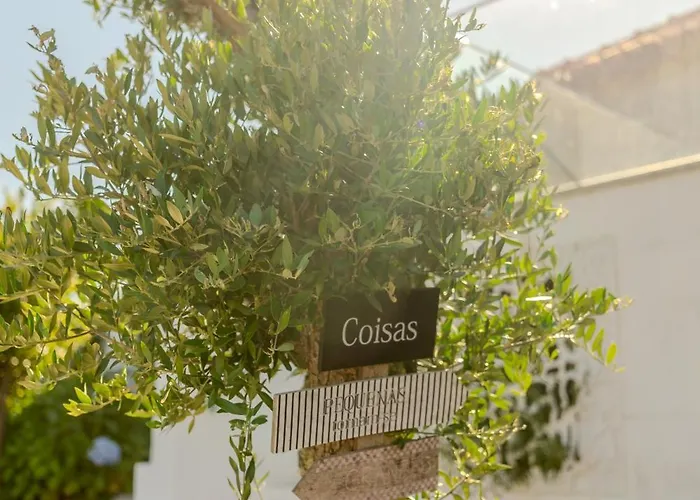 Séjour à la ferme Quinta Baiao, Douro Valley Santa Cruz do Douro