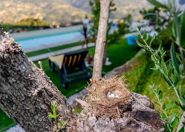 Quinta Baiao, Douro Valley Santa Cruz do Douro