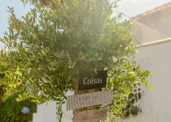 Quinta Baiao, Douro Valley Çiftlik konaklama *