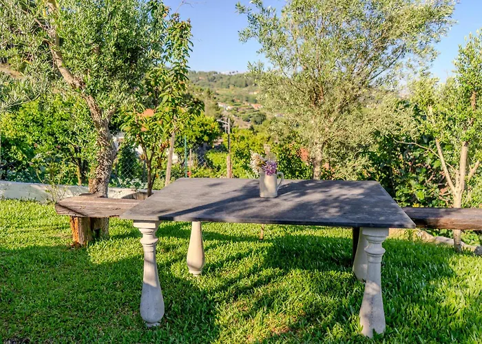 Farma Quinta Baiao, Douro Valley